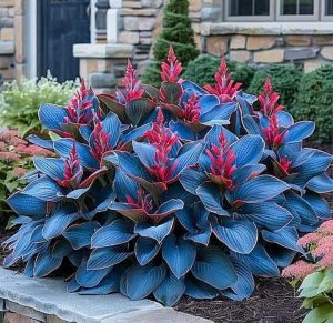 Хоста Грин Фог купить по цене от 669р. в интернет-магазине «Посадика» с доставкой почтой в в Шуяе и по всей России – [изображение №1].