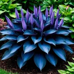 Хоста Сикрет Гров купить по цене от 570р. в интернет-магазине «Посадика» с доставкой почтой в в Шуяе и по всей России – [изображение №1].